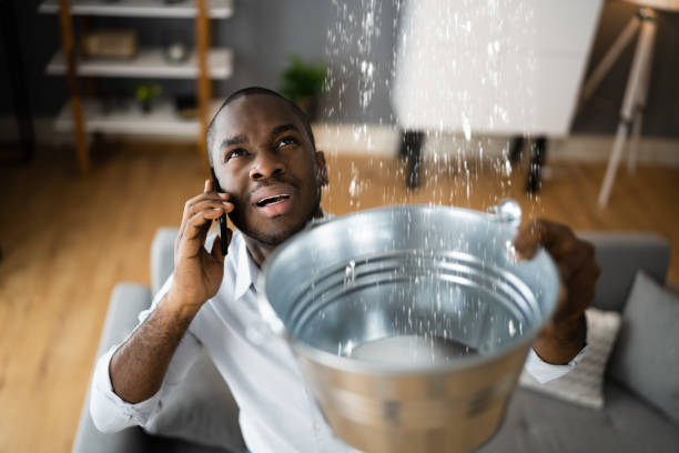Best Water damage contractors near me  in Sunset Hills, MO