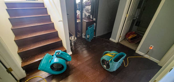 Best Mold removal after water damage  in Sunset Hills, MO