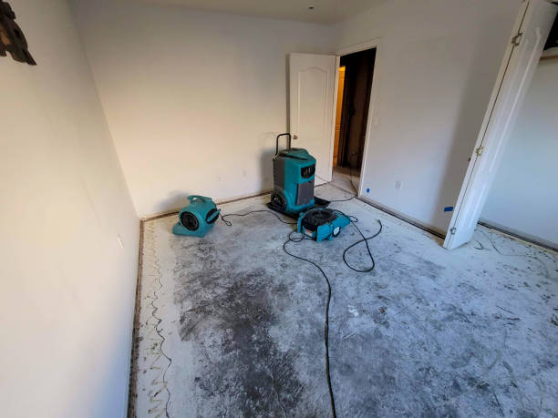Best 24-hour water damage restoration  in Sunset Hills, MO