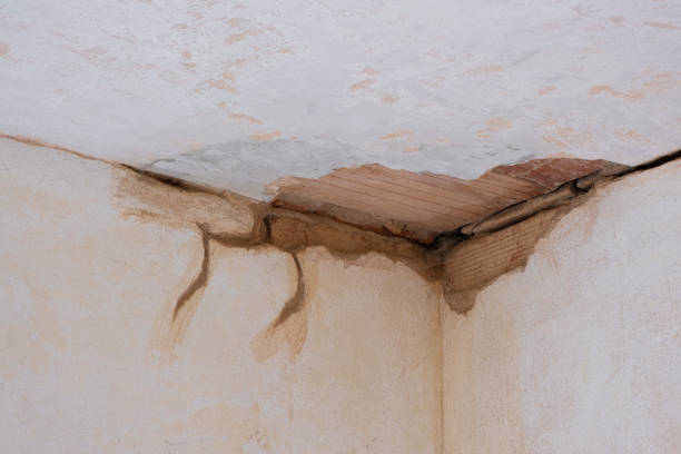 Best Fire Damage Restoration  in Sunset Hills, MO