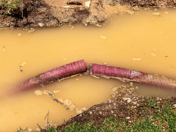 Best Basement water damage restoration  in Sunset Hills, MO
