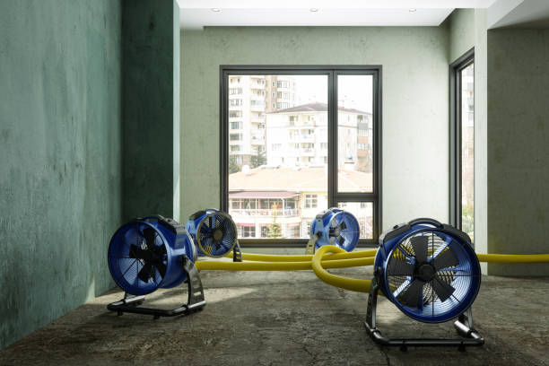 Water damage restoration process in Sunset Hills, MO