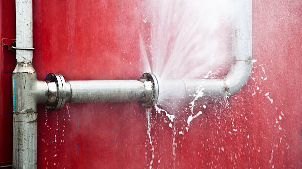 Best Flood restoration services  in Sunset Hills, MO